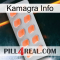 Kamagra Info 26